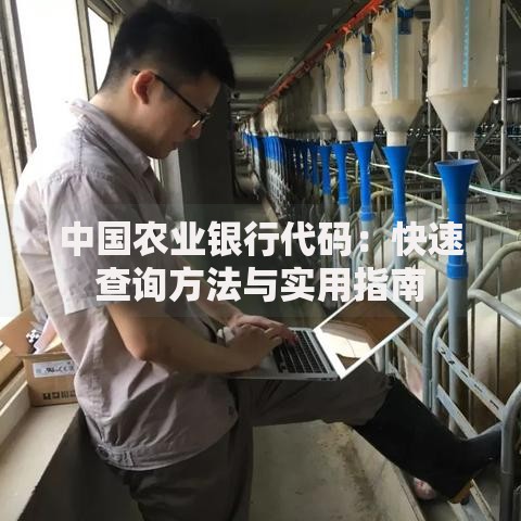 中国农业银行代码：快速查询方法与实用指南