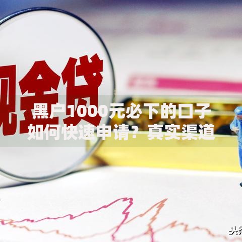 黑户1000元必下的口子如何快速申请？真实渠道解析