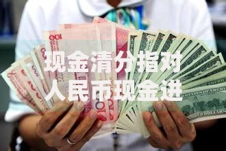 现金清分指对人民币现金进行高效处理与安全管理