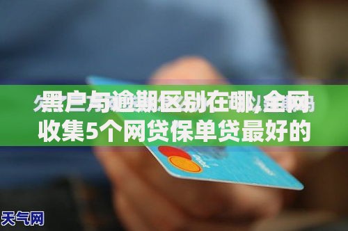 黑户与逾期区别在哪,全网收集5个网贷保单贷最好的平台