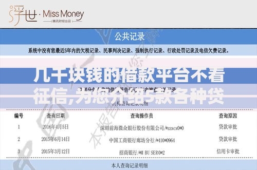 几千块钱的借款平台不看征信,为您介绍5款各种贷款平台