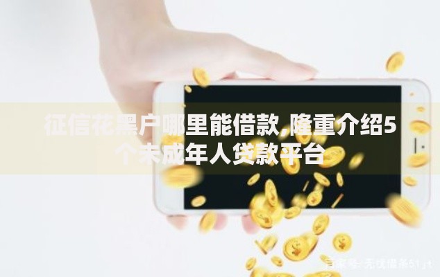 征信花黑户哪里能借款,隆重介绍5个未成年人贷款平台