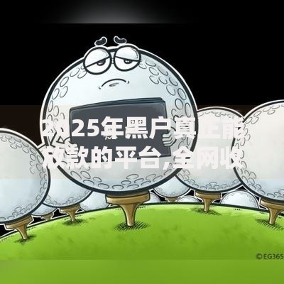 2025年黑户真正能放款的平台,全网收集5个黑户100%秒下款的平台