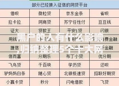 黑户的人有什么影响,归纳整理5个十大网贷平台排名不分先后