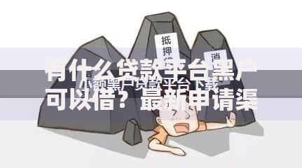 有什么贷款平台黑户可以借？最新申请渠道解析