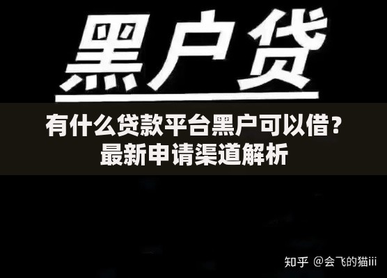 有什么贷款平台黑户可以借？最新申请渠道解析