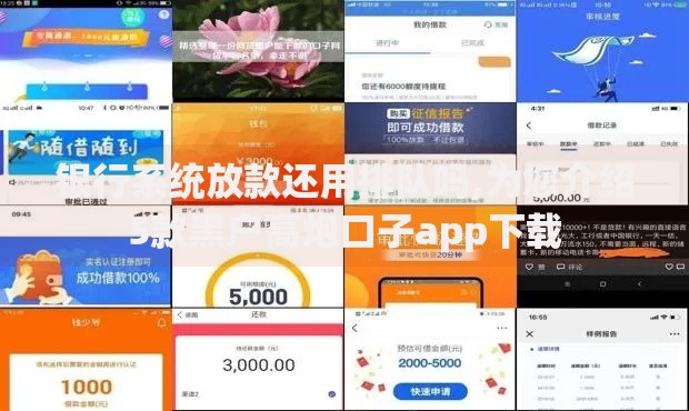 银行系统放款还用排队吗,为您介绍5款黑户高炮口子app下载