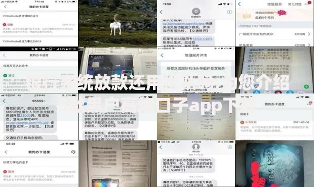 银行系统放款还用排队吗,为您介绍5款黑户高炮口子app下载