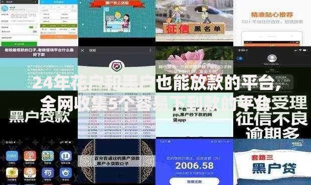 24年花户和黑户也能放款的平台,全网收集5个容易下到款的平台