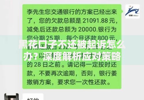 黑花口子不还被起诉怎么办？深度解析应对策略