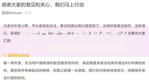 黑花口子不还被起诉怎么办？深度解析应对策略