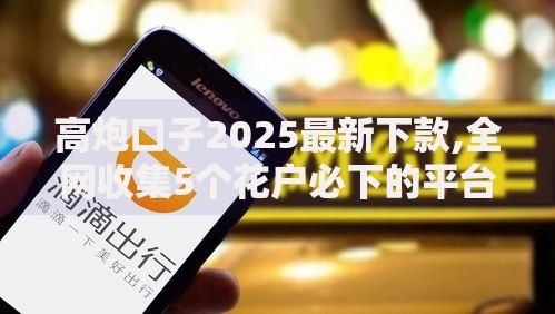 高炮口子2025最新下款,全网收集5个花户必下的平台100%通过率