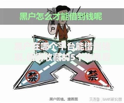 黑户在哪个平台能借到钱啊,值得收藏的5个先息后本的正规贷款平台