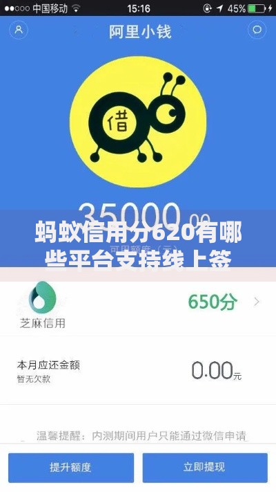 蚂蚁信用分620有哪些平台支持线上签约贷款服务