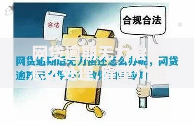 网贷逾期无力偿还怎么处理,隆重介绍5个不看征信和负债的贷款平台