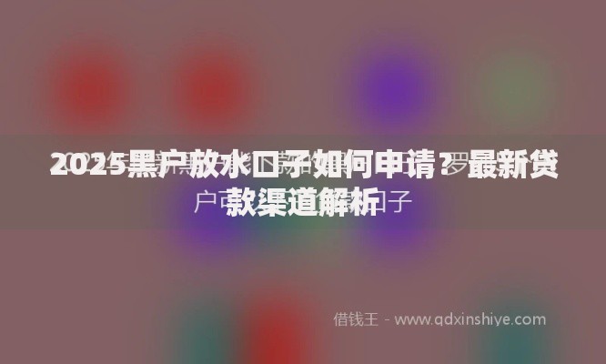 2025黑户放水口子如何申请？最新贷款渠道解析