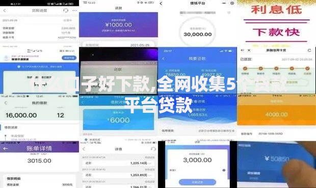 什么口子好下款,全网收集5个贷款平台贷款