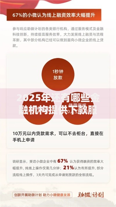 2025年还有哪些金融机构提供下款服务？