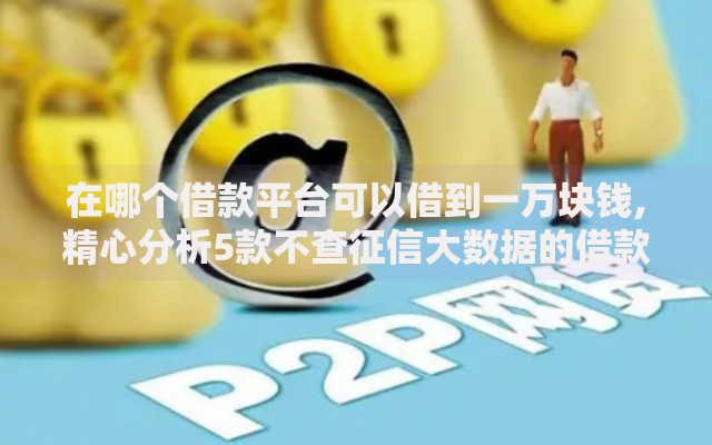 在哪个借款平台可以借到一万块钱,精心分析5款不查征信大数据的借款平台百分百通过