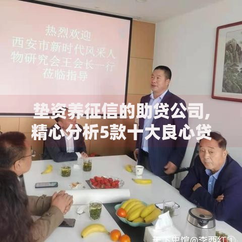 垫资养征信的助贷公司,精心分析5款十大良心贷款平台利息低一点