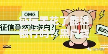 征信黑花了能进银行吗？黑户贷款影响与解决办法