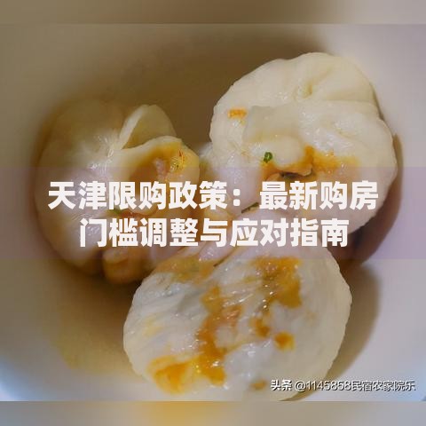 天津限购政策：最新购房门槛调整与应对指南