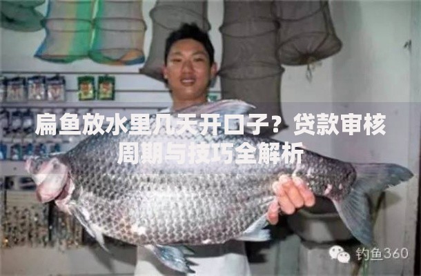 扁鱼放水里几天开口子？贷款审核周期与技巧全解析