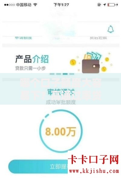 哪个口子额度大容易下？高通过率贷款平台评测与申请攻略