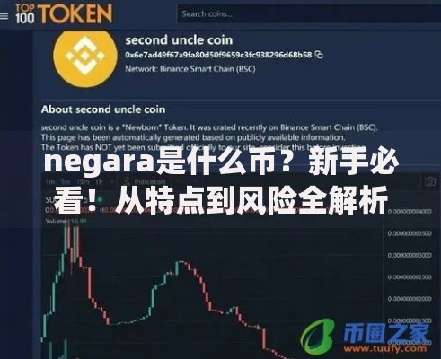 negara是什么币？新手必看！从特点到风险全解析