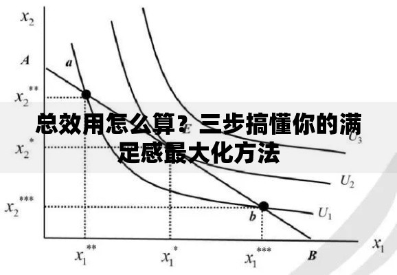 总效用怎么算？三步搞懂你的满足感最大化方法