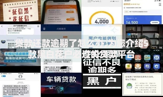 贷款还款逾期了怎么办,为您介绍5款黑白花户必过的贷款平台