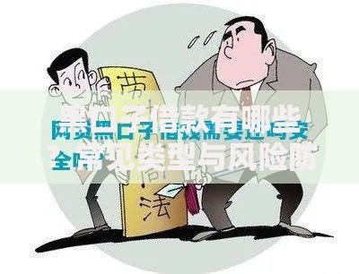 黑口子借款有哪些？常见类型与风险防范全解析