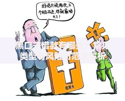 黑口子借款有哪些？常见类型与风险防范全解析