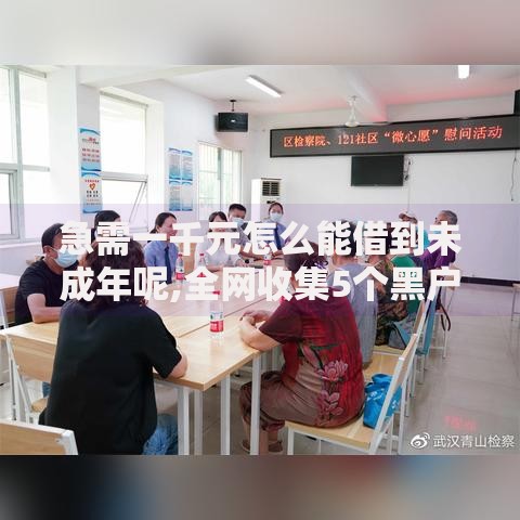 急需一千元怎么能借到未成年呢,全网收集5个黑户能借的口子
