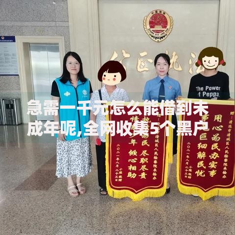 急需一千元怎么能借到未成年呢,全网收集5个黑户能借的口子