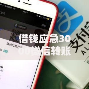 借钱应急3000微信转账,值得收藏的5个平台能不查征信直接看出来借款额度