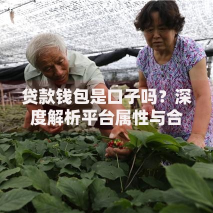贷款钱包是口子吗？深度解析平台属性与合规风险