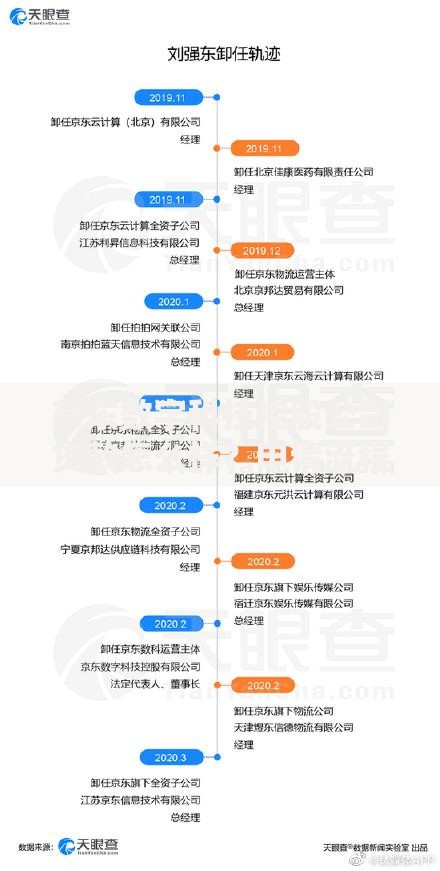 京东数字科技控股公司贷款怎么样？申请流程与优势解析