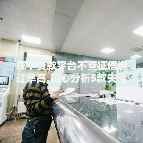 哪个贷款平台不查征信通过率高,精心分析5款失信被执行人网贷口子