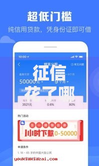 征信花了哪些口子能下款？低门槛网贷渠道解析