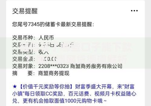 征信花了哪些口子能下款？低门槛网贷渠道解析