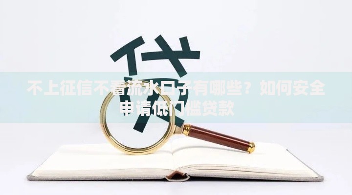不上征信不看流水口子有哪些？如何安全申请低门槛贷款