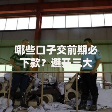 哪些口子交前期必下款？避开三大风险的正确选择思路