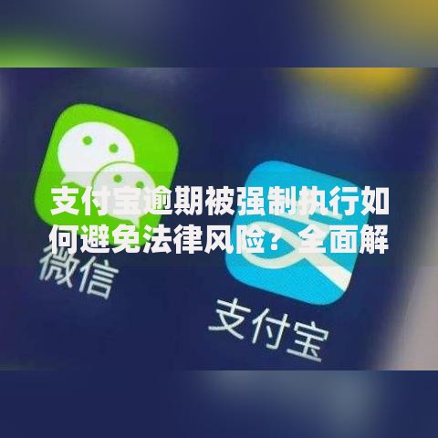 支付宝逾期被强制执行如何避免法律风险？全面解析应对策略