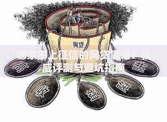 哪家不上征信的网贷靠谱？权威评测与避坑指南