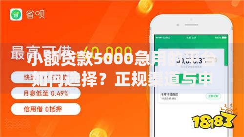 小额贷款5000急用的平台如何选择？正规渠道与申请流程解析
