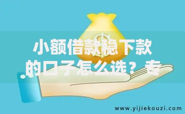 小额借款稳下款的口子怎么选？专业评测与避坑指南