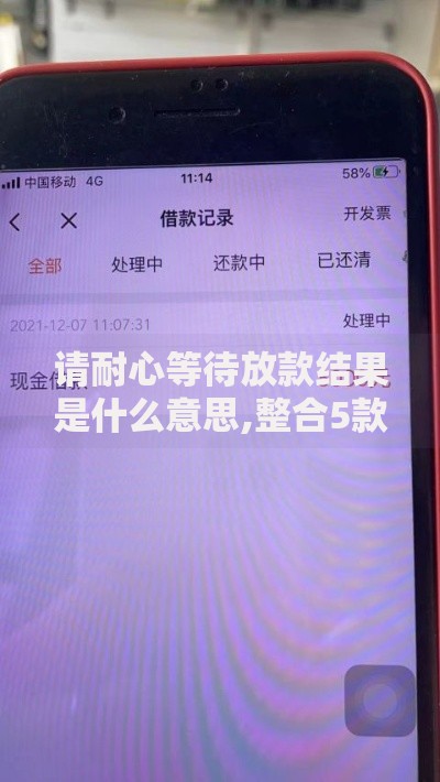 请耐心等待放款结果是什么意思,整合5款放款新口子