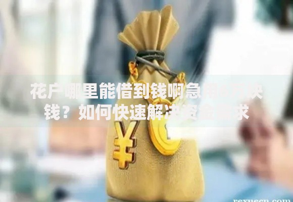花户哪里能借到钱啊急用6万块钱?如何快速解决资金需求 花户哪里能借到钱啊急用6万块钱?如何快速解决资金需求