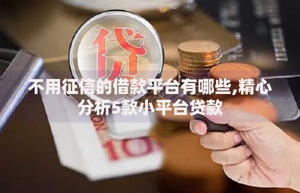 不用征信的借款平台有哪些,精心分析5款小平台贷款